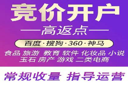 百度推广的广告投放策略案例